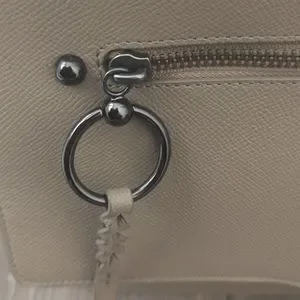 Rebecca Minkoff | Bags | Rebecca Minkoff Taupe Large Gabby  display picture 1